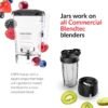 Blendtec Connoisseur 825 Blender Review Powerful Quiet Performance for Professionals