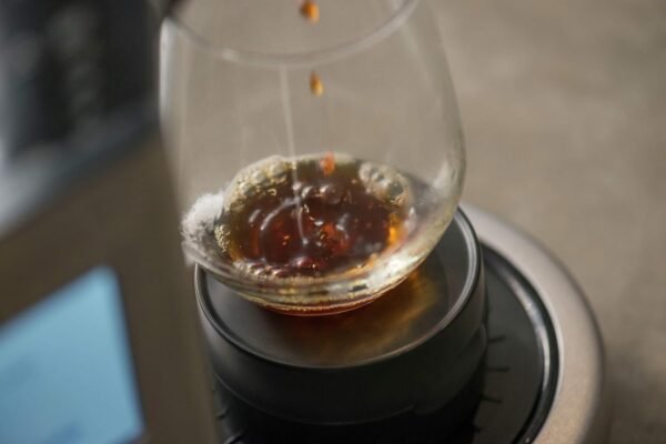 Breville Precision Brewer Drip Coffee Maker Review Best Customizable Home Brewer