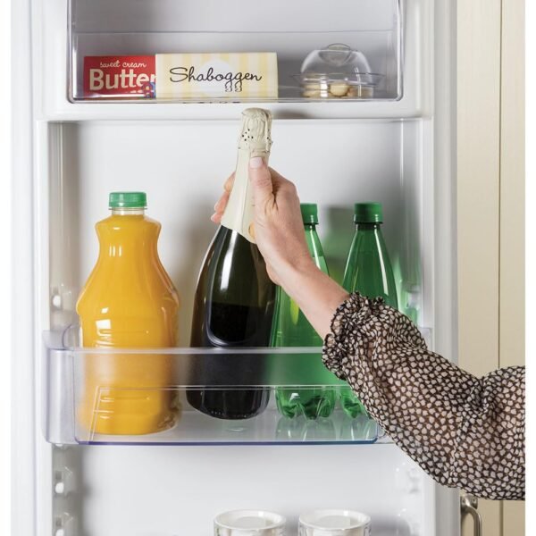 Compact Side By Side Refrigerator GE GZS22IYNFS Review Highlights Counter Depth Design and Features